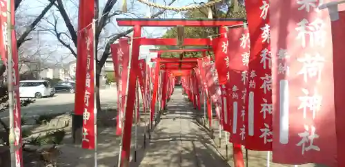 於菊稲荷神社の鳥居