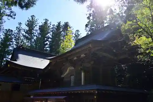 宝登山神社(埼玉県)
