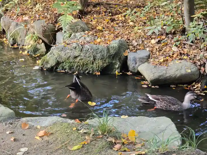 平安神宮(京都府)