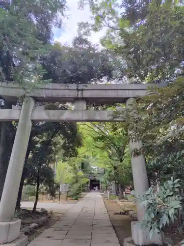赤坂氷川神社(東京都)