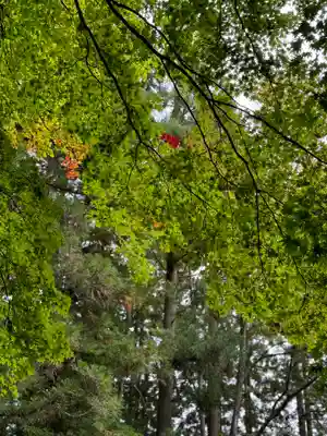戸隠神社宝光社(長野県)