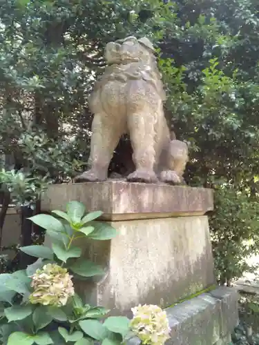 赤坂氷川神社の狛犬
