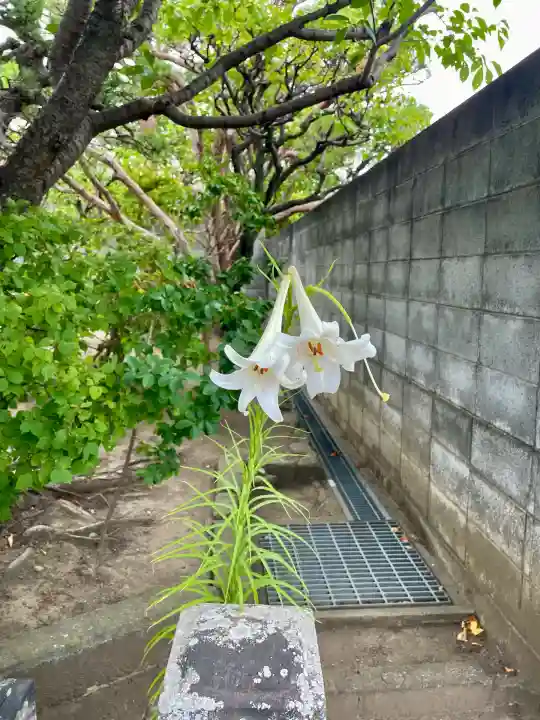大運寺(神奈川県)