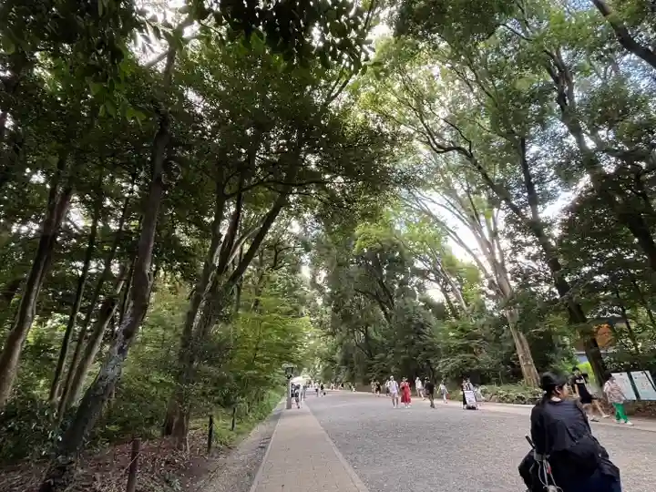 明治神宮の景色