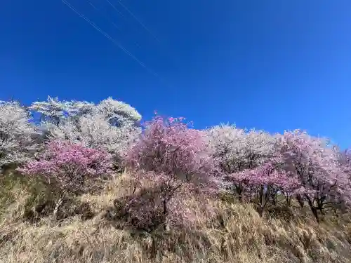 諏訪大社下社春宮の{uncategorized: "未分類", other: "その他", undefined: "問題あり", building: "その他建物", grave: "お墓", sacred_gate: "鳥居", guardian: "狛犬", statue: "像", buddha: "仏像", history: "歴史", nature: "自然", garden: "庭園", animal: "動物", pagoda: "塔", temizu: "手水舎", mountain_gate: "山門・神門", sanctuary: "本殿・本堂", subordinate: "末社・摂社", art: "芸術", scenery: "景色", jizo: "地蔵", ema: "絵馬", goshuin: "御朱印", omikuji: "おみくじ", items: "授与品その他", amulet: "お守り", goshuincho: "御朱印帳", eats: "食事", festival: "お祭り", votive_dance: "神楽", shichigosan: "七五三参", wedding: "結婚式", experience: "体験その他", initially: "初詣", around: "周辺", anti_infection: "感染症対策"}