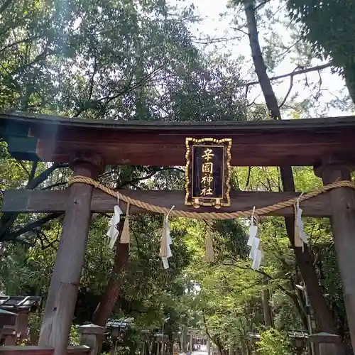 辛國神社の鳥居