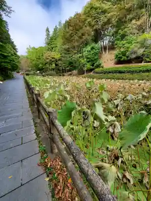 安楽寺(長野県)