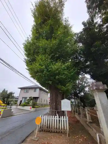 八坂神社のその他建物