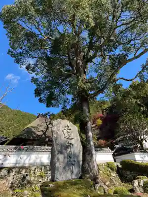 達身寺(兵庫県)