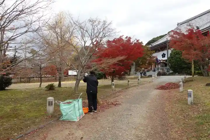 智積院のその他建物