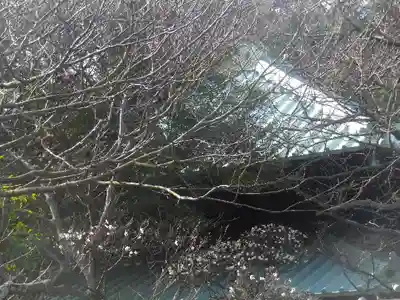 英勝寺のその他建物