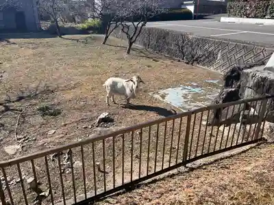 聖應寺(愛知県)