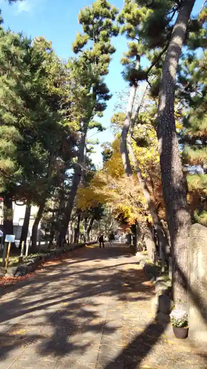 淨眞寺(東京都)