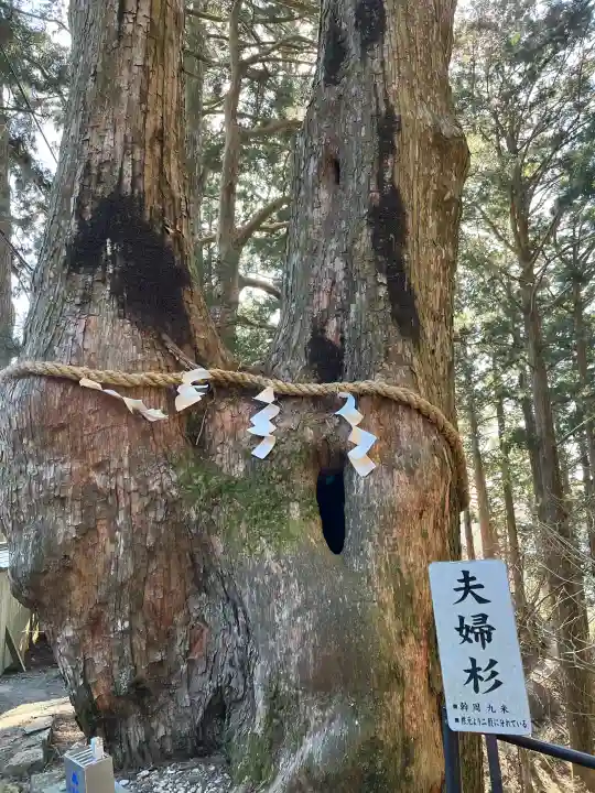 玉置神社の{uncategorized: "未分類", other: "その他", undefined: "問題あり", building: "その他建物", grave: "お墓", sacred_gate: "鳥居", guardian: "狛犬", statue: "像", buddha: "仏像", history: "歴史", nature: "自然", garden: "庭園", animal: "動物", pagoda: "塔", temizu: "手水舎", mountain_gate: "山門・神門", sanctuary: "本殿・本堂", subordinate: "末社・摂社", art: "芸術", scenery: "景色", jizo: "地蔵", ema: "絵馬", goshuin: "御朱印", omikuji: "おみくじ", items: "授与品その他", amulet: "お守り", goshuincho: "御朱印帳", eats: "食事", festival: "お祭り", votive_dance: "神楽", shichigosan: "七五三参", wedding: "結婚式", experience: "体験その他", initially: "初詣", around: "周辺", anti_infection: "感染症対策"}