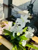 守りの神 藤基神社(新潟県)