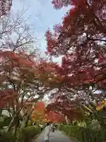 西教寺(滋賀県)