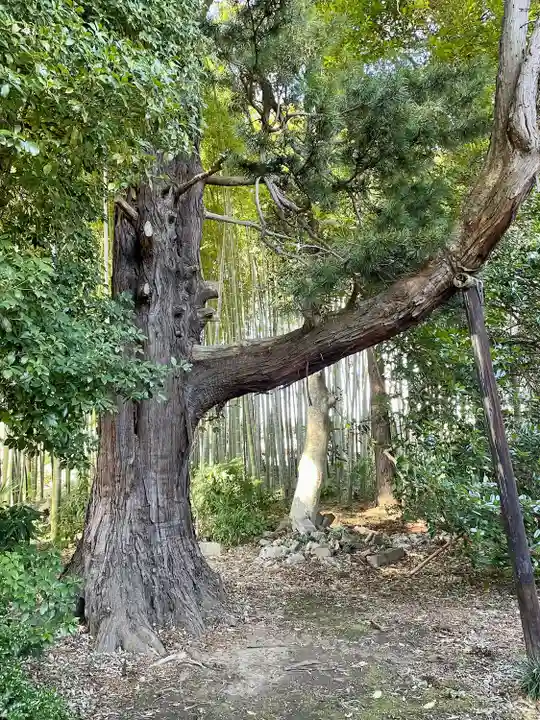 天翁院(栃木県)