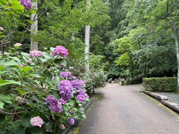長谷寺(奈良県)