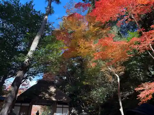 法然院(京都府)