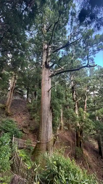 玉置神社(奈良県)