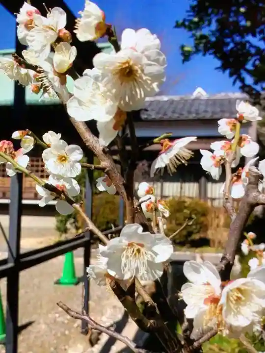 本郷氷川神社(東京都)