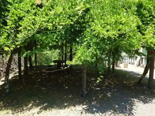 丹生川上神社（上社）(奈良県)