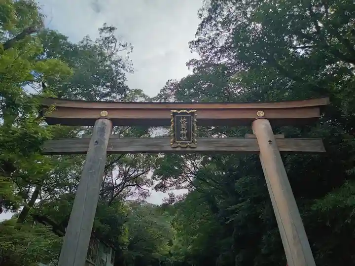 枚岡神社の鳥居