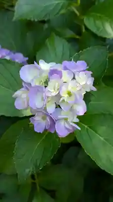 本法寺(京都府)