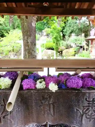 鳩森八幡神社の手水舎