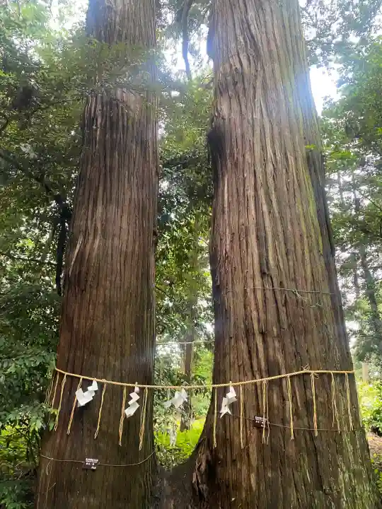 日吉神社(千葉県)