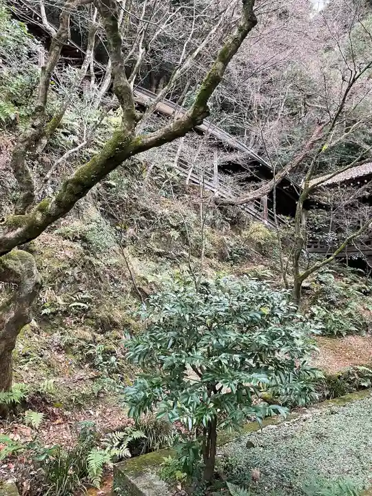 禅林寺(永観堂)の自然