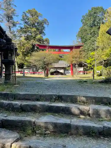 賀茂神社の鳥居