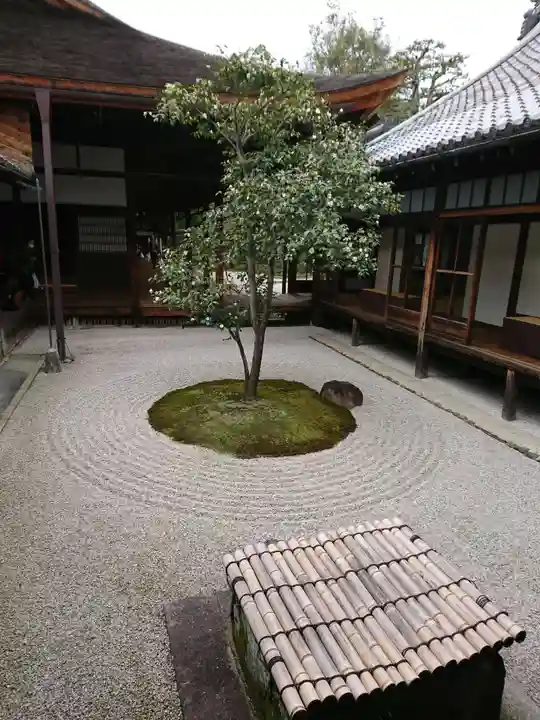 建仁寺(建仁禅寺)の庭園