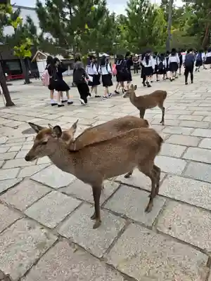東大寺(奈良県)