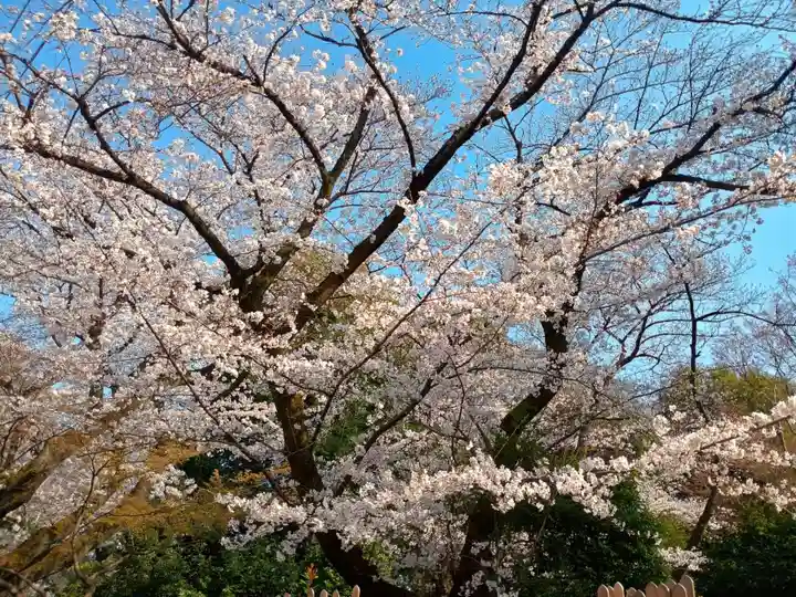 明治寺(東京都)