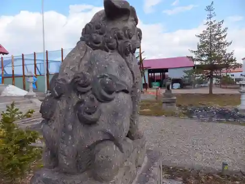 樺戸神社の狛犬