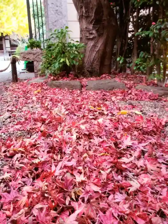 高円寺(東京都)
