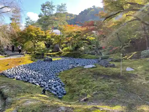 宝厳院の庭園