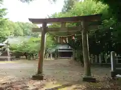 熊野神社の鳥居