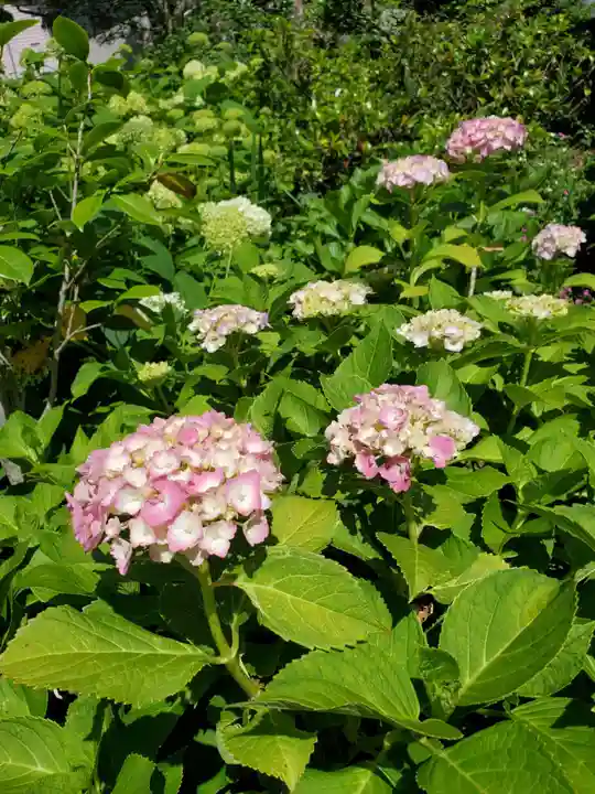 豊景神社(福島県)