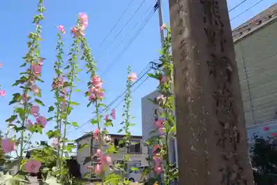 熊野福藏神社のその他建物