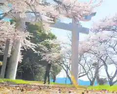 北山神社の建物その他