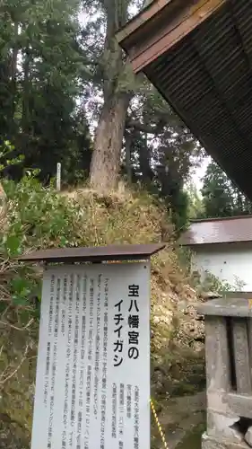 宝八幡宮の歴史