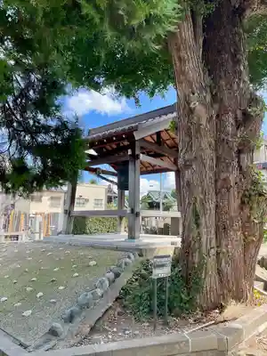 真勝院(東京都)