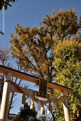 蛇窪神社の鳥居