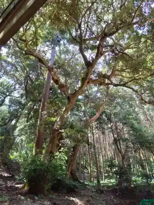 桜井大神宮(福岡県)