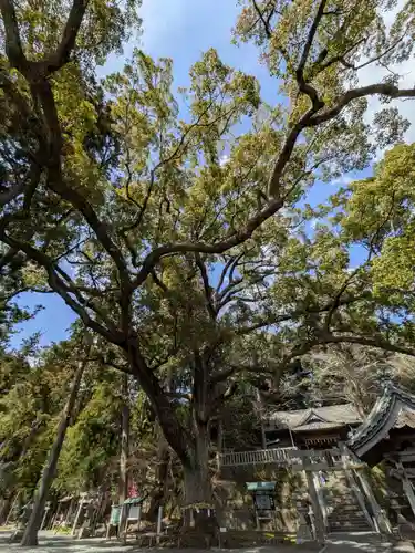事任八幡宮(静岡県)