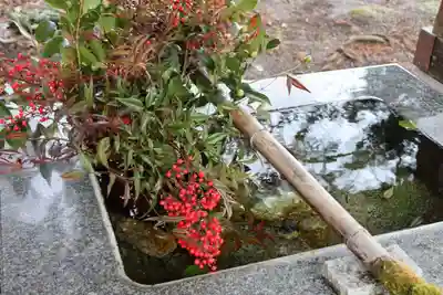 高司神社〜むすびの神の鎮まる社〜の手水舎