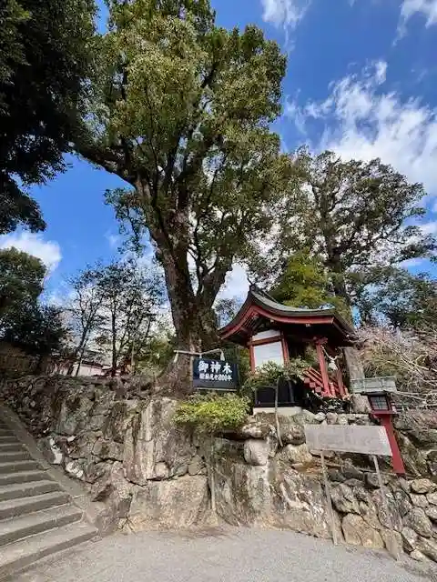 鹿児島神宮(鹿児島県)