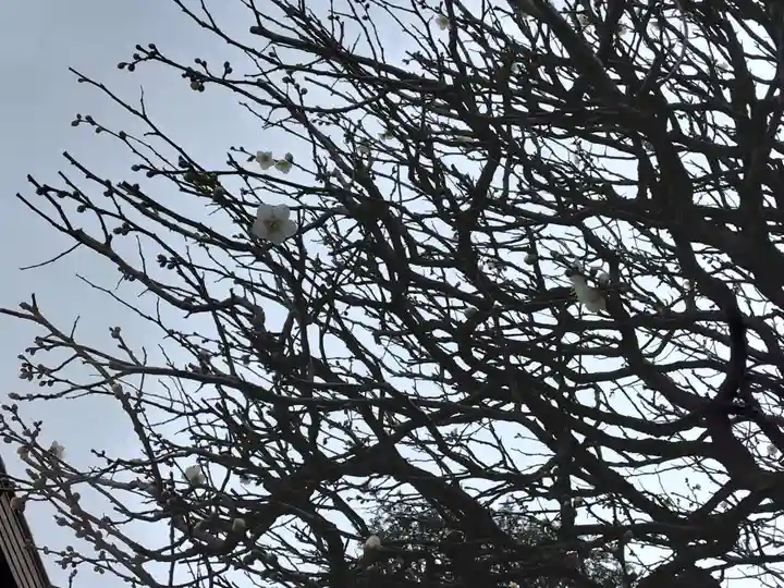 普門院蓮花寺(神奈川県)